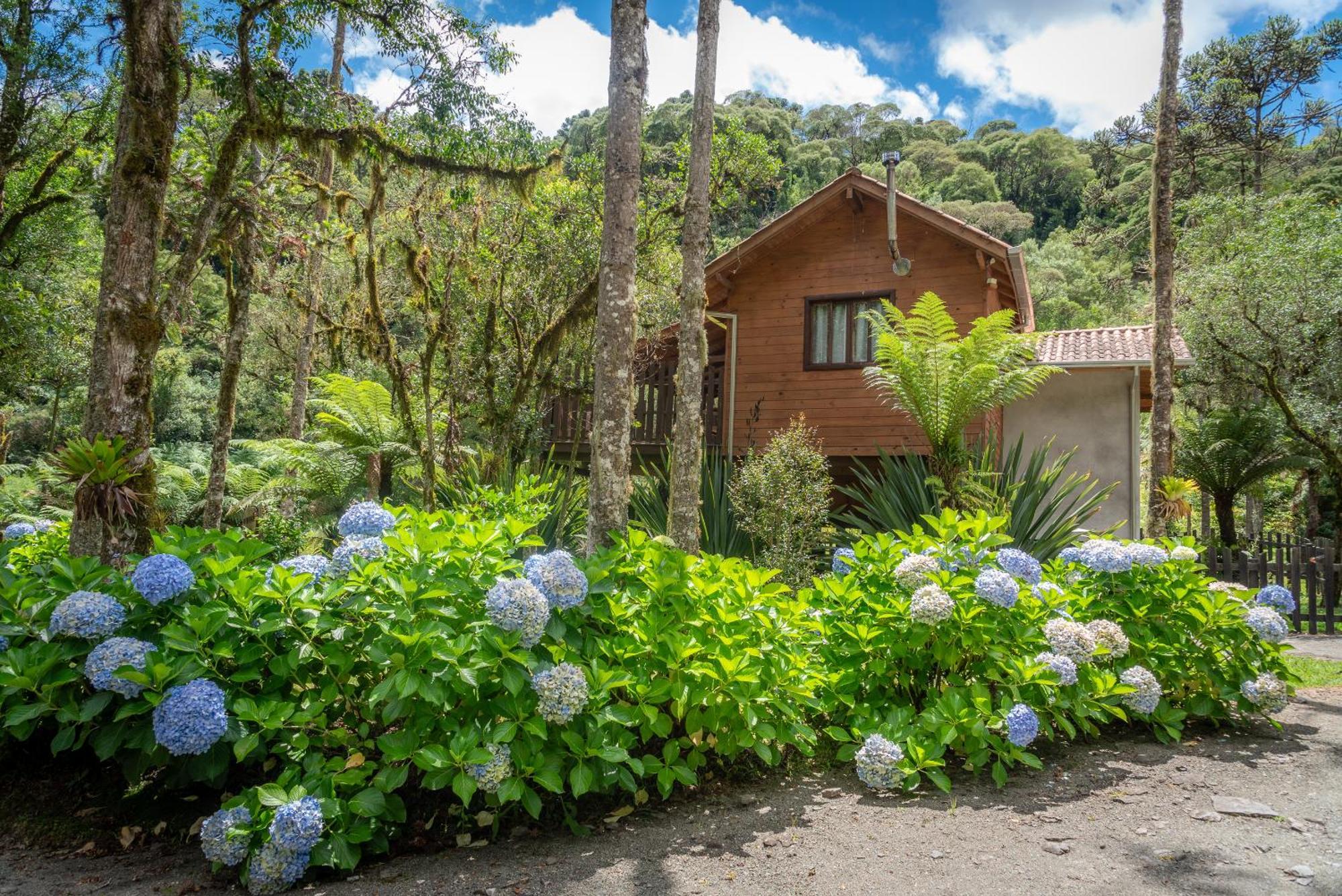 Pousada Caminhos Da Natureza Urubici Buitenkant foto